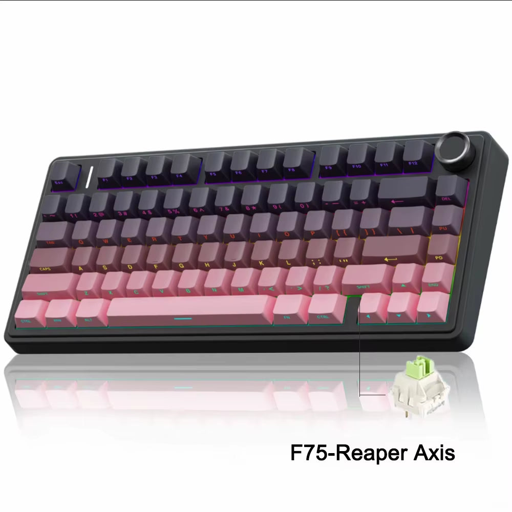 F75 2.4G Wireless/Bluetooth/Wired RGB Mechanical Gaming Keyboard - Customized 75% Layout with OEM Profile and Gasket Structure